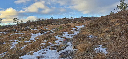 Following the marked trail on the way to Langelihøgdi