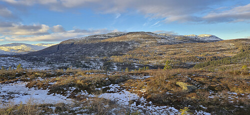 Tinden from Langelihøgdi
