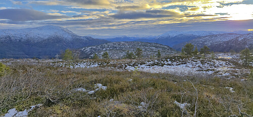 Kalvbakkehøgdi from Langelihøgdi