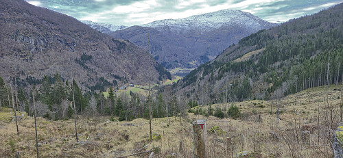 Trying to follow the marked trail to Øvre Folkedal