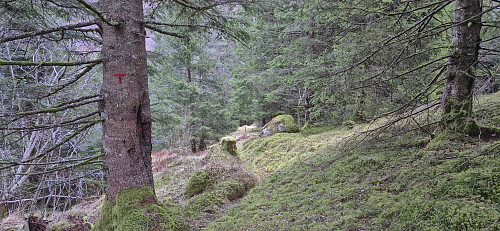 The marked trail to Øvre Folkedal