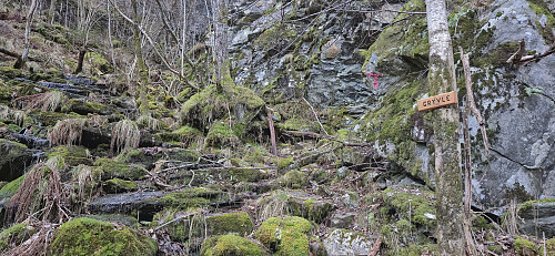 Looking back at the last part of the marked trail down to Øvre Folkedal