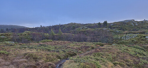 Approaching the summit of Nordgardsfjellet