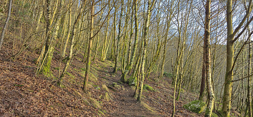 The first part of the trail