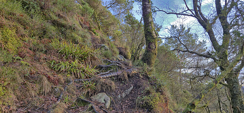 The later steeper part of the trail