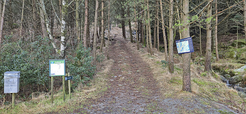 The marked trailhead