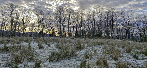 Approaching the summit