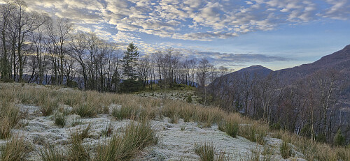 The small hill with the fallen trig marker