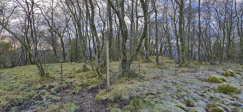 Open gate just before the summit