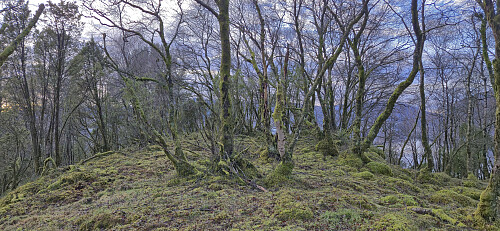 The highest point at Matskårhaugane