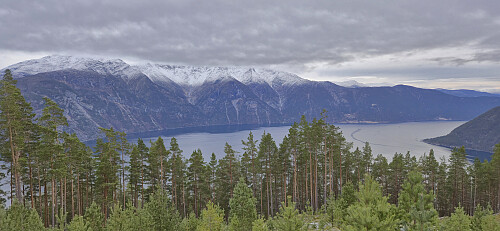 Sognefjorden from just below Kronprins Haralds plass