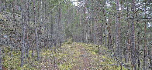 The tractor road just below the vantage point