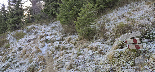 The start of the marked trail