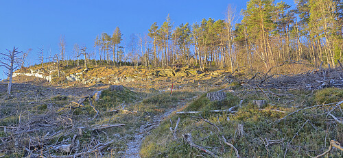 Entering the logging area