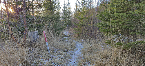 Approaching the visitor register