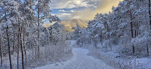 Hellemyrstien with Orretua in the background