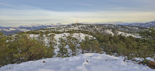 Linken from Folldalshaugane