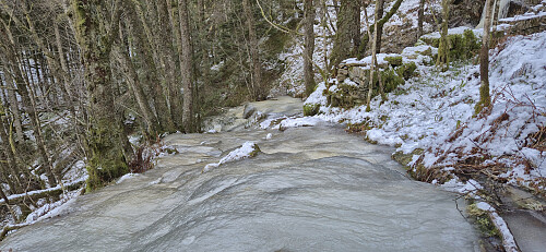 More ice than trail during the descent from Linken