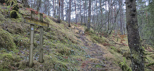 Lillianbrekko just east of Hovåsen Sør