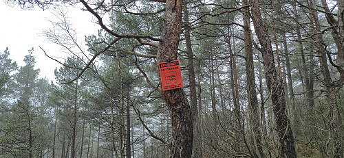Warning signs to not get too close to the shooting range