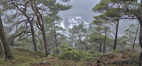 Kismul Skyte- og friluftssenter from Hovåsen Sør