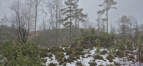 Approaching Hovåsen