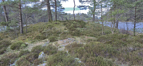 All that was left of the cabin