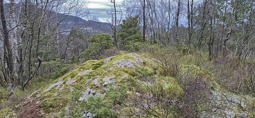 The summit of St. Hanshaugen with its own trig bolt