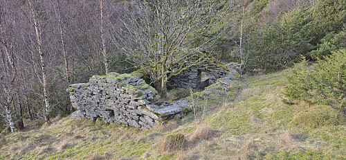 Ruin along the trail to Selvik