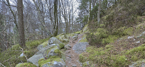 Start of the trail to Ørnahaugen