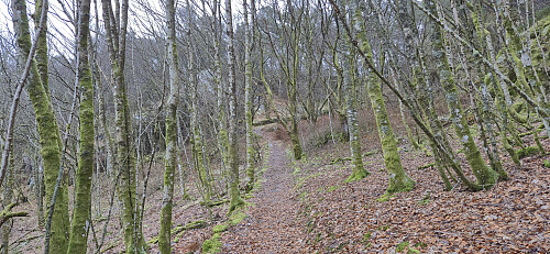 Ascending from Mathopsvågen