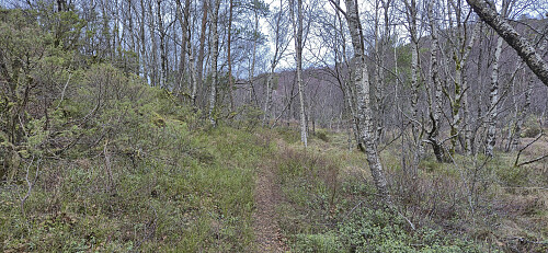 The trail northwest of Kløvsnipa