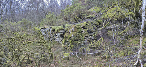 One of many ruins along the trail