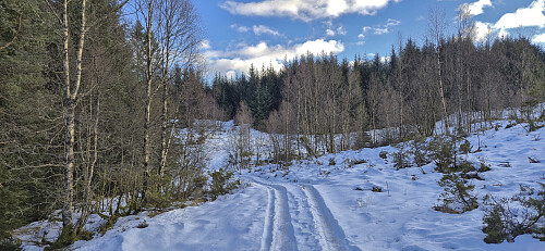 Tractor road north of Orrtua
