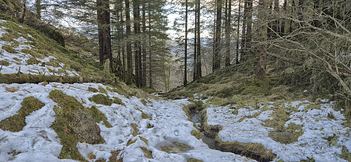 Off-trail between Orrtua and Storerinden