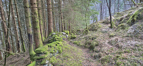 Old trail north of Storerinden
