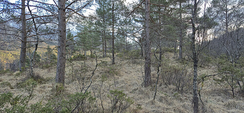 Approaching the summit of Storerinden
