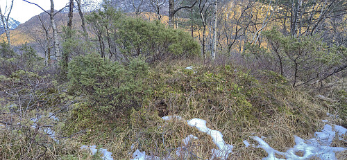 The highest point at Storerinden