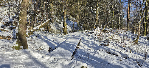 The trail from Helldalslia