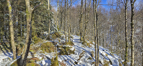 Trail up from Helldalslia