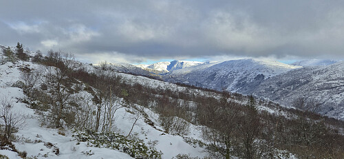 Towards Gullfjellet from the west of Erdalsvarden