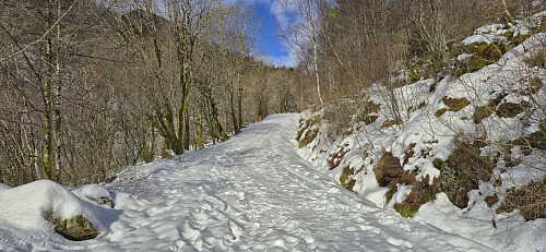 Ascending from Sædalen