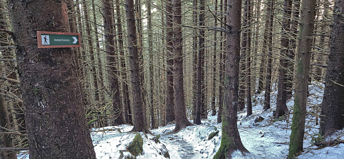 Following the signs to Brattland Camping