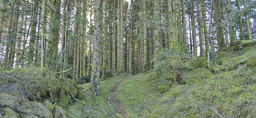 Getting near the highest point at Ørnatua