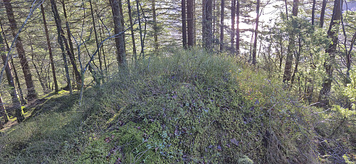 The highest point at Ørnatua