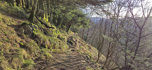 Descending from Dyngelandsåsen