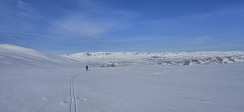 Descending to Drøllstøl with Hardangerjøkulen in the background