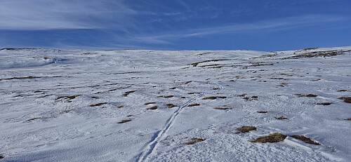 Ascending to Vetle Allgarden