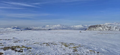 Store and Vetle Ishaug from Vetle Allgarden