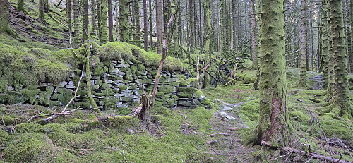 More old stone walls